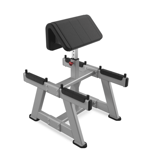 Nautilus Standing Preacher Curl